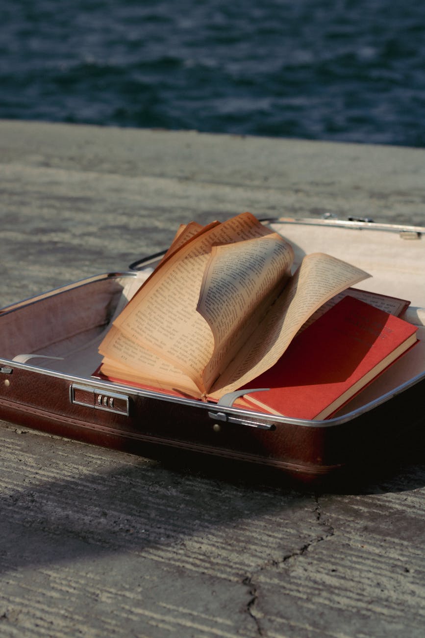 Suitcase